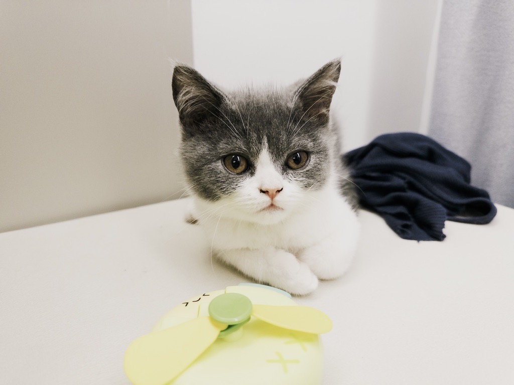 ACB6008C-09E0-4CA4-8E86-75C2EA0EC711