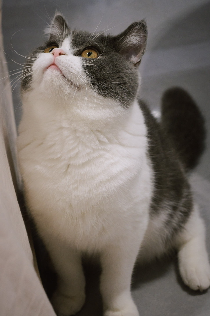 B68190D0-7B1A-4C70-ABB6-E517047FCA6B